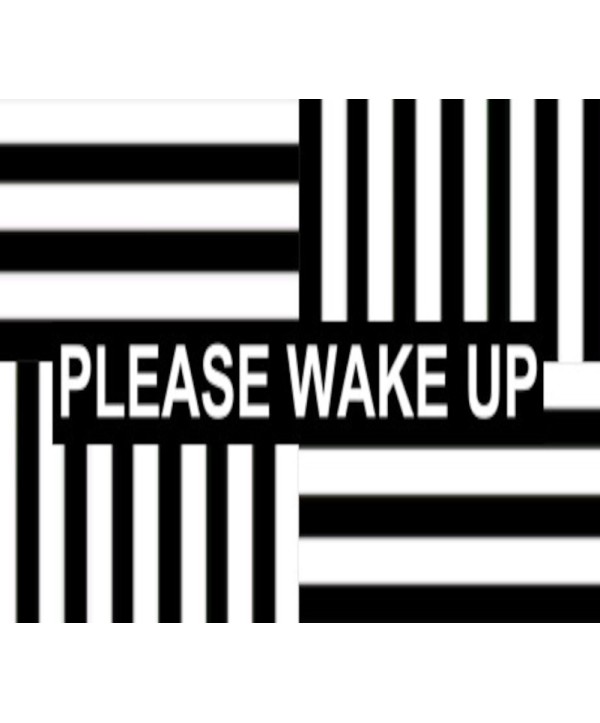 Please Wake Up Steam Key GLOBAL